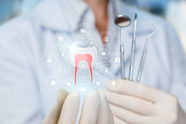 Best Root Canal Treatment  in Siesta Acres, TX